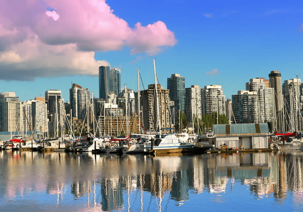 Reflective cityscape by the marina